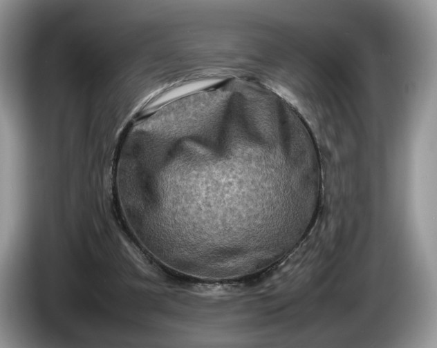 X0000086280297200704122052