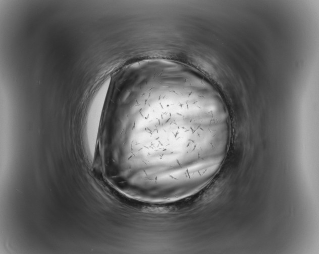 X0000086280299200704122052