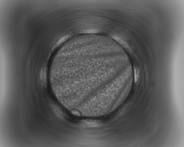 X0000086280300200704122052