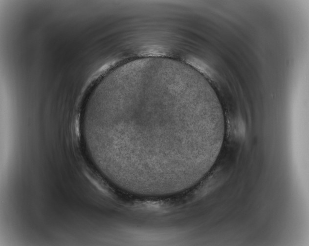 X0000086280302200704122052