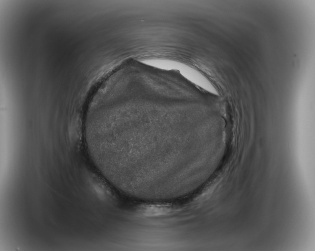 X0000086280303200704122052