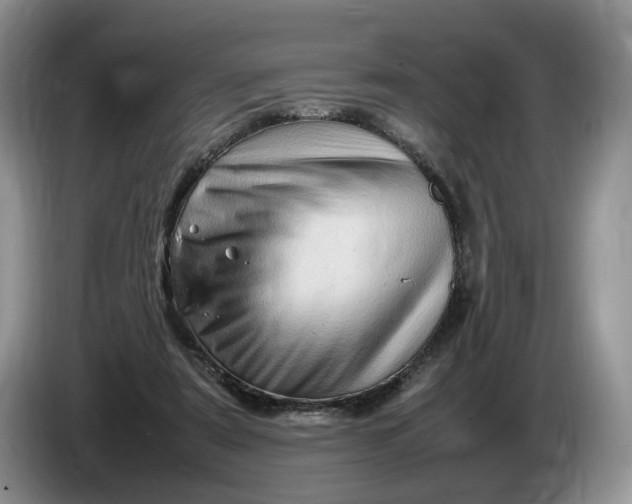 X0000086280307200704122052