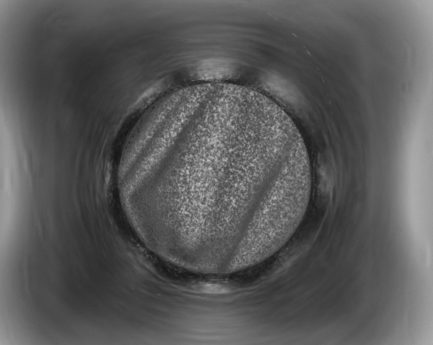 X0000086280308200704122052