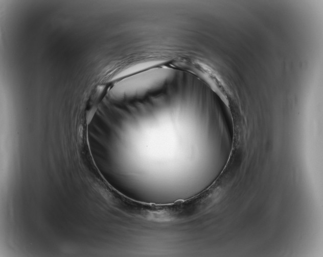 X0000086280309200704122052