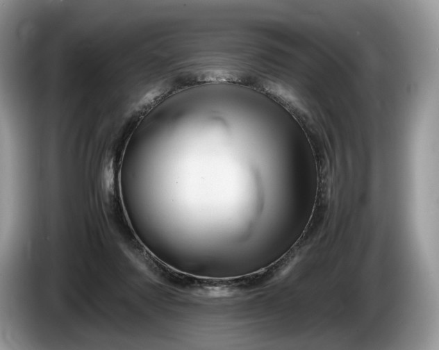 X0000086280310200704122052