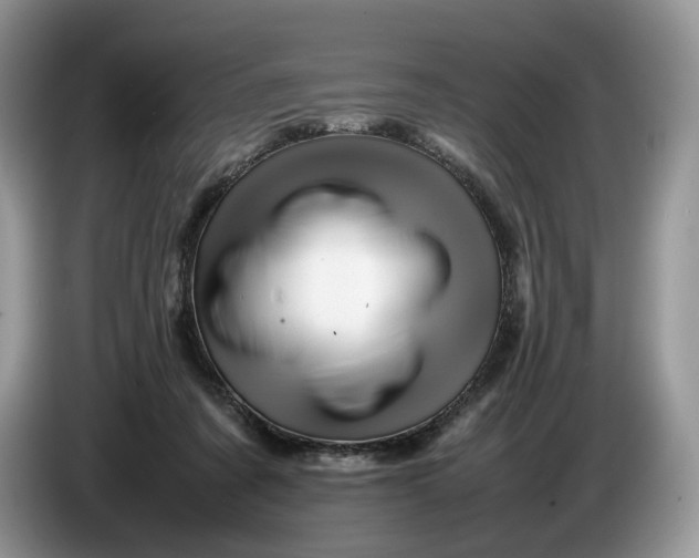 X0000086280311200704122052