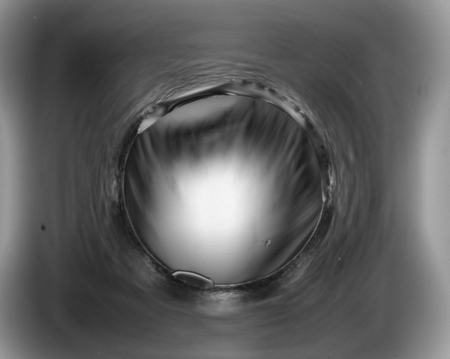 X0000086280313200704122052