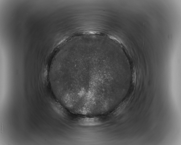 X0000086280314200704122052