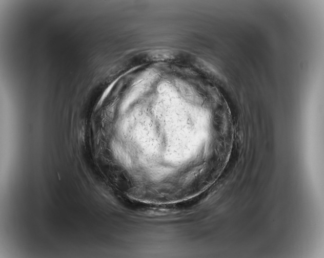 X0000086280315200704122052