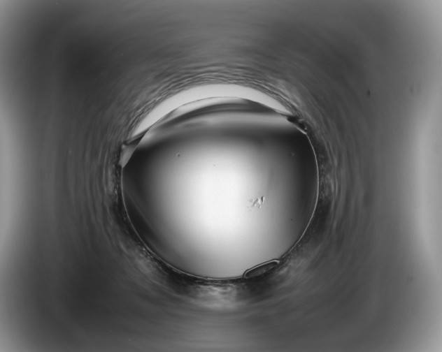 X0000086280317200704122052