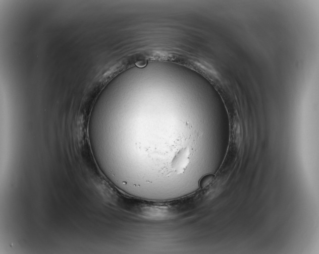 X0000086280318200704122052