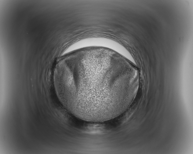 X0000086280319200704122052