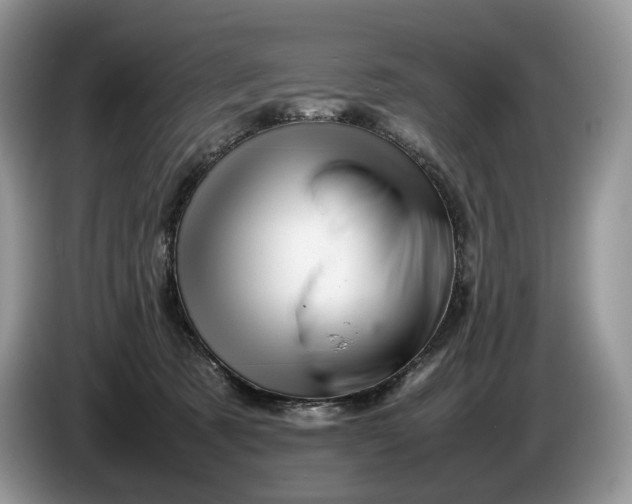 X0000086280321200704122052