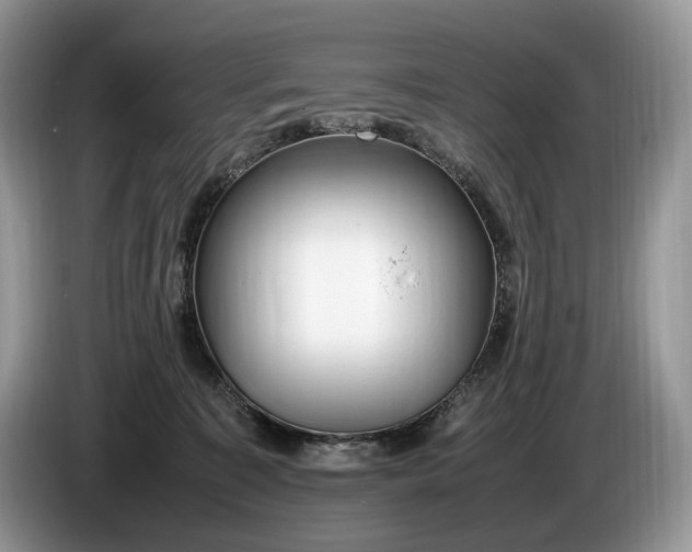 X0000086280323200704122052