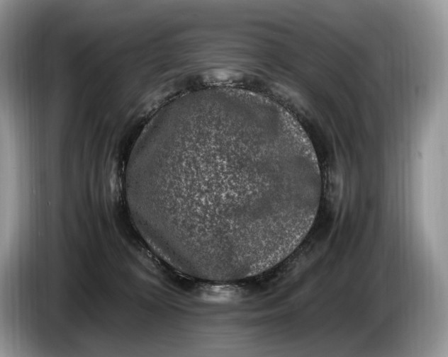 X0000086280324200704122052