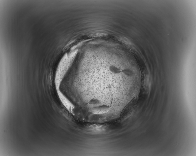 X0000086280326200704122052