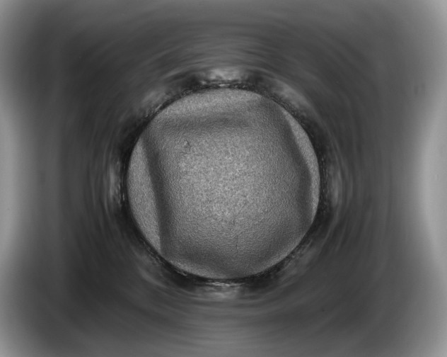 X0000086280328200704122052