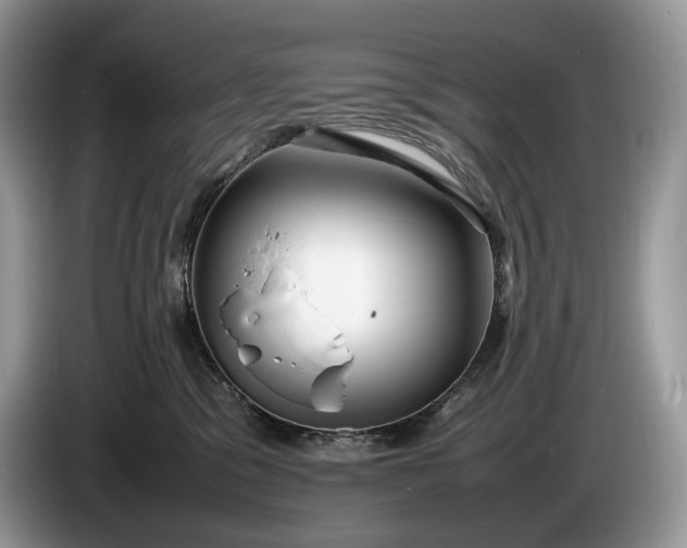 X0000086280329200704122052