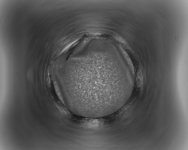 X0000086280330200704122052