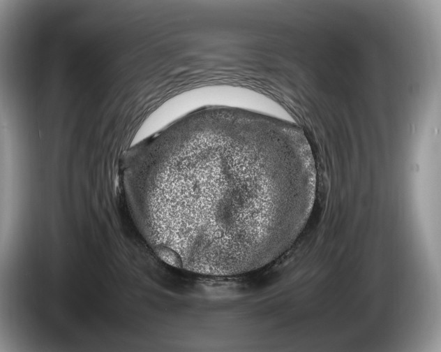 X0000086280331200704122052