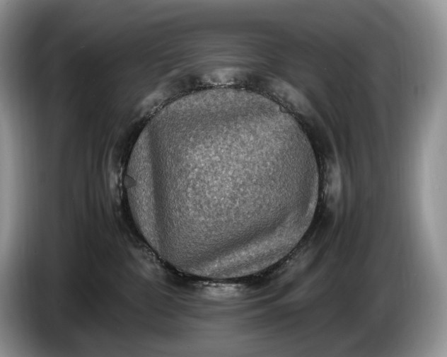 X0000086280332200704122052