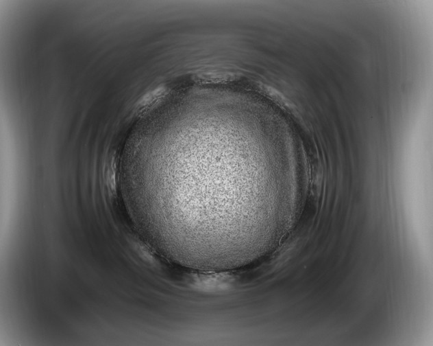 X0000086280334200704122052