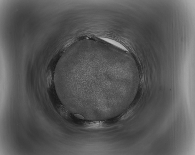 X0000086280335200704122052