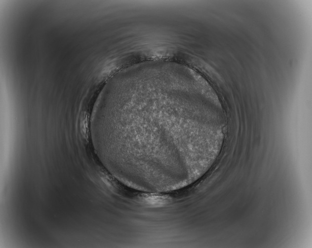 X0000086280336200704122052