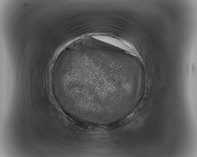 X0000086280337200704122051