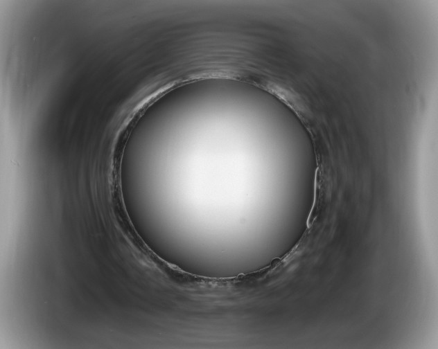 X0000086280338200704122051