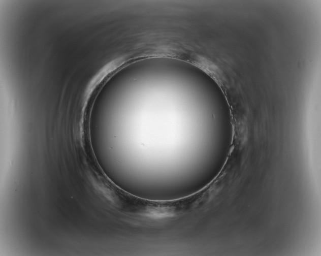 X0000086280340200704122051