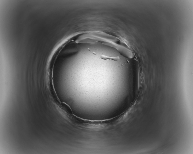 X0000086280342200704122051