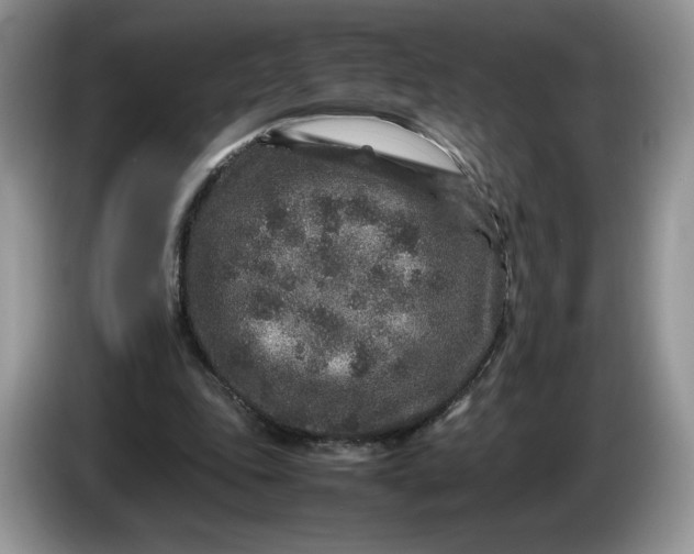 X0000086280343200704122051