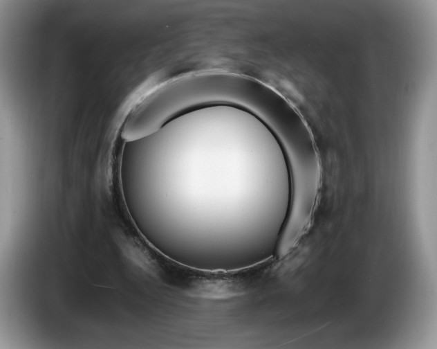 X0000086280344200704122051