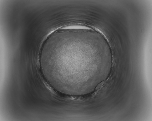 X0000086280345200704122051