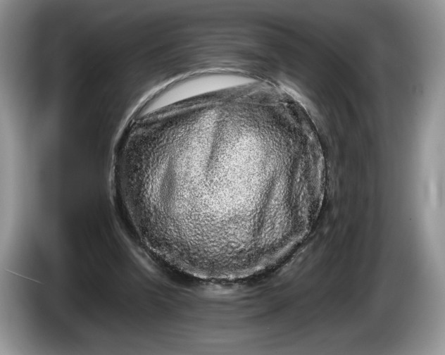 X0000086280346200704122051