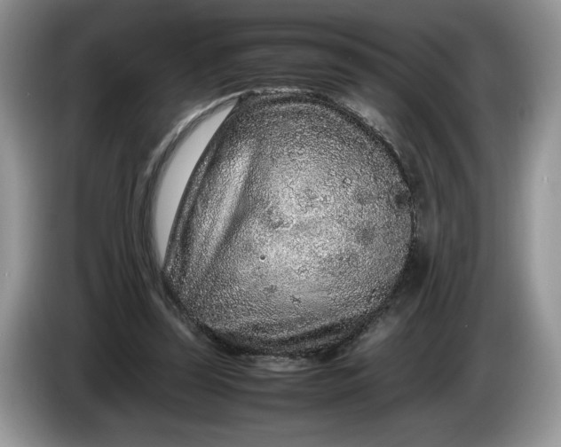 X0000086280347200704122051