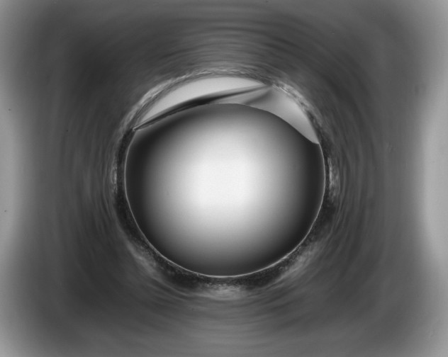 X0000086280348200704122051