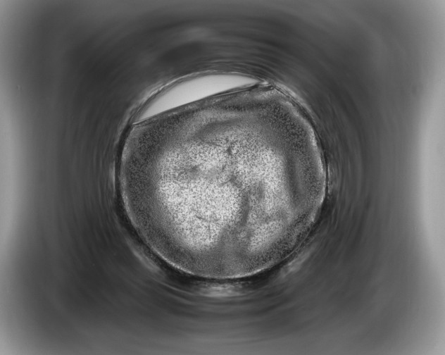 X0000086280349200704122051