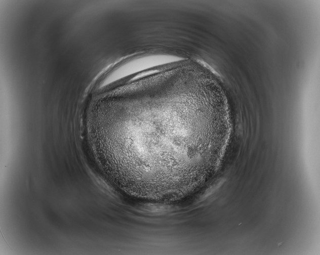 X0000086280351200704122051