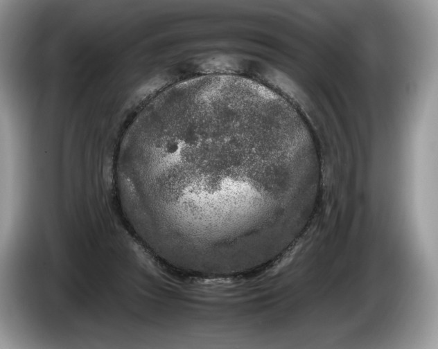 X0000086280353200704122051