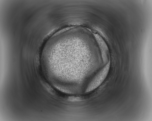 X0000086280354200704122051