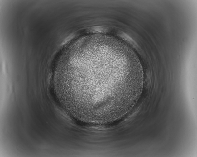 X0000086280355200704122051