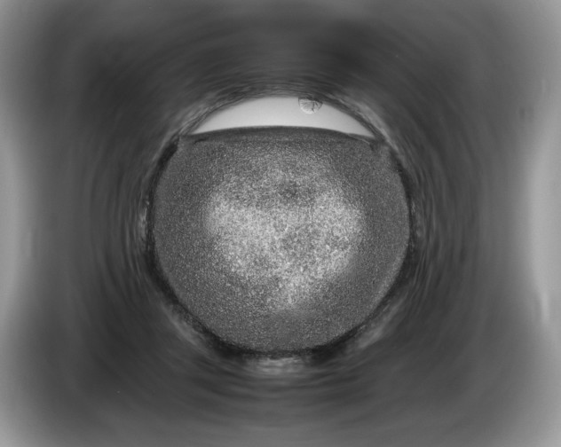 X0000086280357200704122051