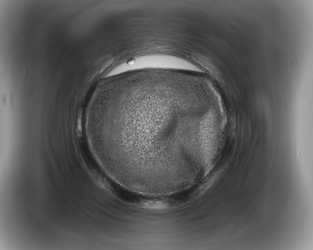 X0000086280358200704122051