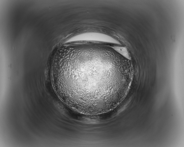 X0000086280359200704122051