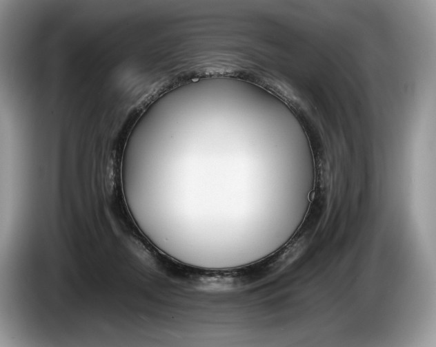 X0000086280362200704122051