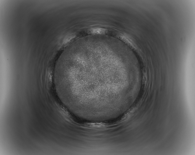 X0000086280363200704122051