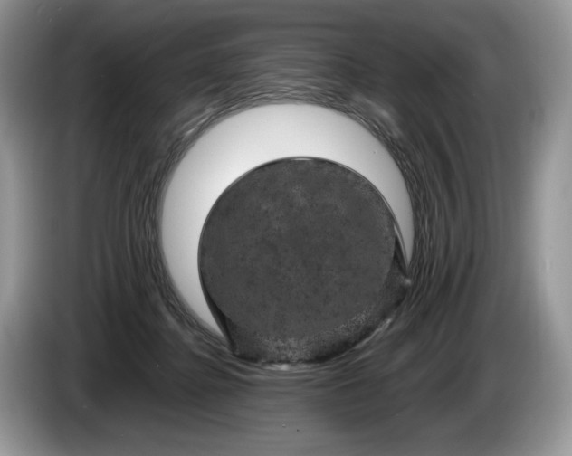 X0000086280364200704122051