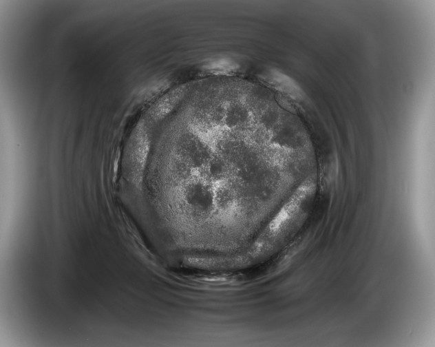 X0000086280365200704122051